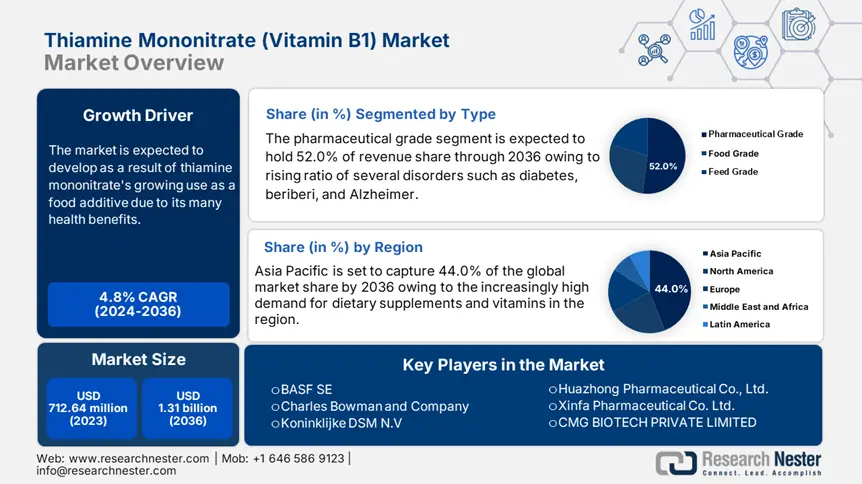 Thiamine Mononitrate (Vitamin B1) Market Overview